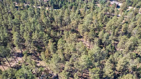 24409 Milo Ln, Keystone, SD 57751 photo 18