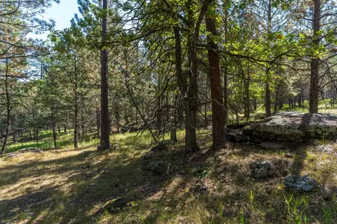 24409 Milo Ln, Keystone, SD 57751 photo 5