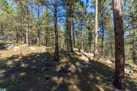 24409 Milo Ln, Keystone, SD 57751 photo 10