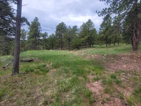 24653 Outback Trl, Hermosa, SD 57744