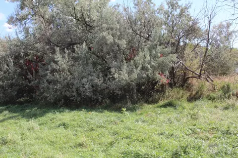 lot5 Sage Rd, Newcastle, WY 82701