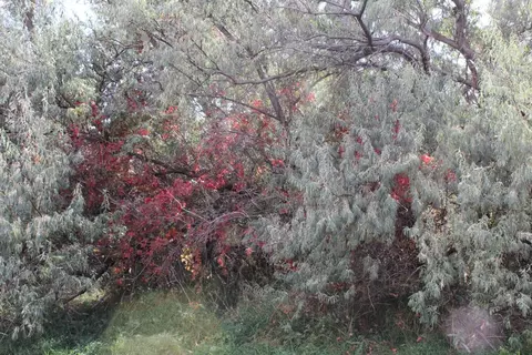 lot6 Sage Rd, Newcastle, WY 82701