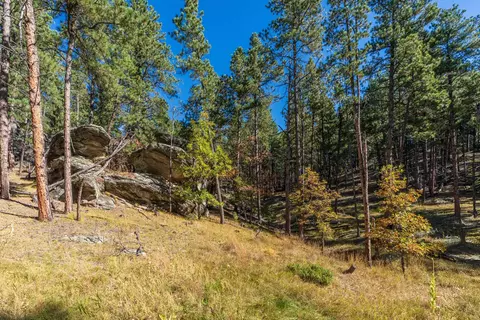 13012 Echo Valley Ct, Keystone, SD 57751 photo 43