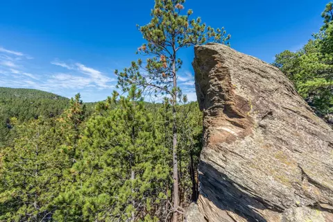 13012 Echo Valley Ct, Keystone, SD 57751 photo 11