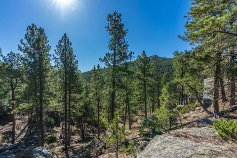13012 Echo Valley Ct, Keystone, SD 57751 photo 10