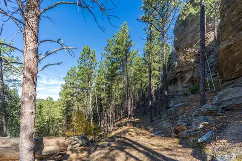 13012 Echo Valley Ct, Keystone, SD 57751 photo 44