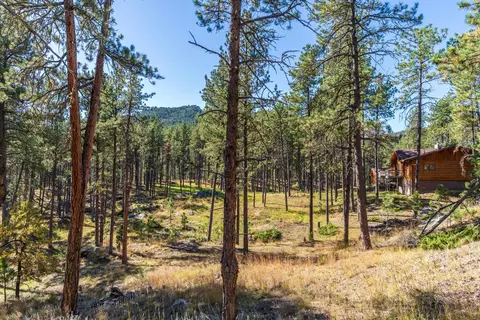 13012 Echo Valley Ct, Keystone, SD 57751 photo 38
