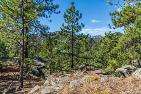 13012 Echo Valley Ct, Keystone, SD 57751 photo 42