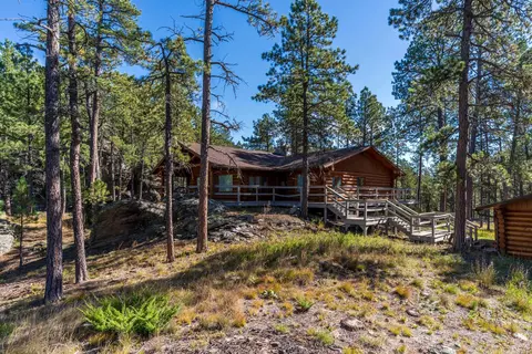 13012 Echo Valley Ct, Keystone, SD 57751 photo 37