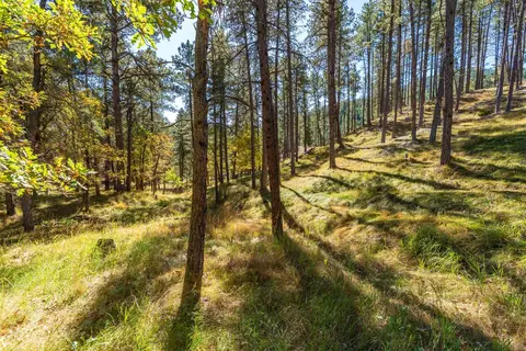 13012 Echo Valley Ct, Keystone, SD 57751 photo 40