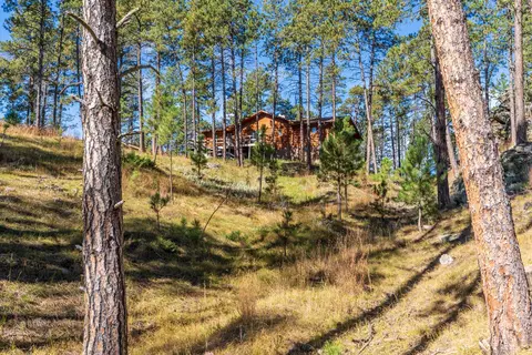 13012 Echo Valley Ct, Keystone, SD 57751 photo 35
