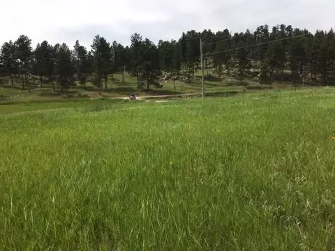 11895 Pleasant Valley Rd, Custer, SD 57730 photo 5