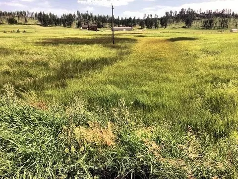 11895 Pleasant Valley Rd, Custer, SD 57730