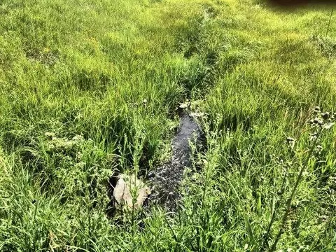 11895 Pleasant Valley Rd, Custer, SD 57730 photo 3