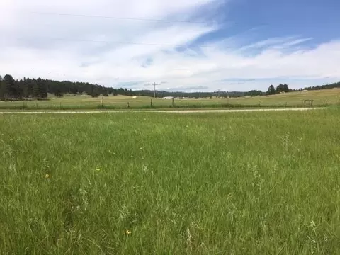 11895 Pleasant Valley Rd, Custer, SD 57730 photo 6