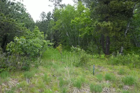 lot14 Monte Carlo Rd, Lead, SD 57754 photo 6