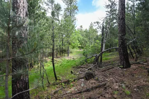 lot14 Monte Carlo Rd, Lead, SD 57754 photo 13