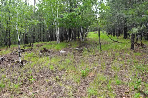lot14 Monte Carlo Rd, Lead, SD 57754 photo 11