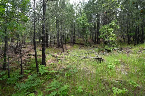 lot14 Monte Carlo Rd, Lead, SD 57754 photo 10