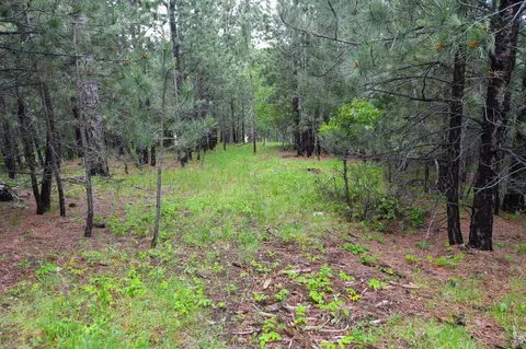 lot14 Monte Carlo Rd, Lead, SD 57754 photo 12