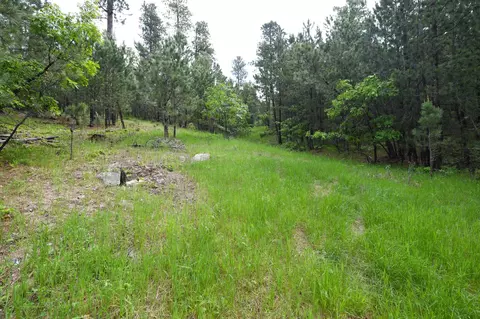 lot14 Monte Carlo Rd, Lead, SD 57754 photo 3