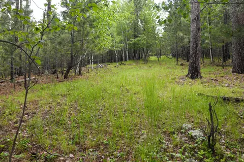 lot14 Monte Carlo Rd, Lead, SD 57754 photo 9