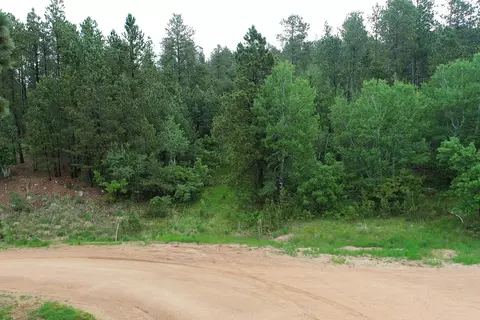 lot14 Monte Carlo Rd, Lead, SD 57754 photo 4