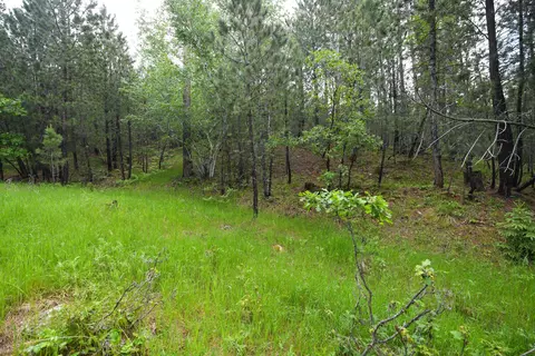 lot14 Monte Carlo Rd, Lead, SD 57754 photo 7