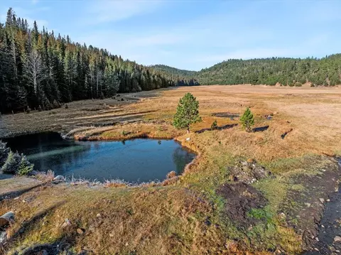 tbd Rocky Johnson Rd, Lead, SD 57754 photo 10