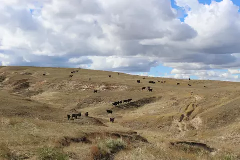 tbd Other, Hemingford, NE 69348