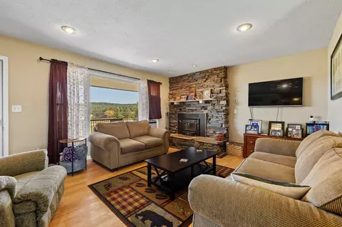 Living - 12395 Windmill Ln, Custer, SD 57730 photo 4 of 4