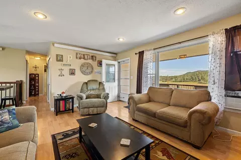 Living - 12395 Windmill Ln, Custer, SD 57730 photo 2 of 4