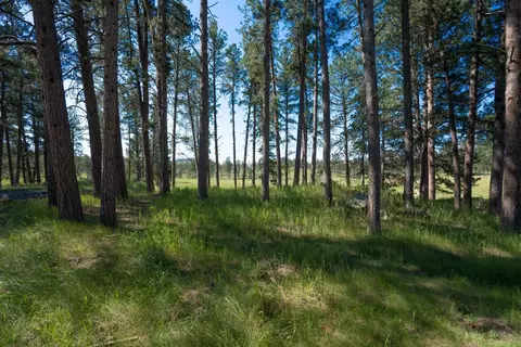 12290 S Star Dr, Custer, SD 57730 photo 13