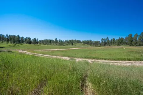 12290 S Star Dr, Custer, SD 57730 photo 15