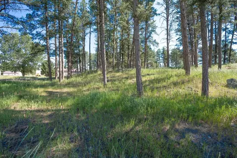 12290 S Star Dr, Custer, SD 57730 photo 16