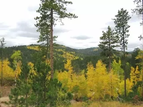 lot16 Dynasty Rd, Lead, SD 57754 photo 7