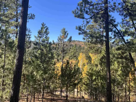 lot16 Dynasty Rd, Lead, SD 57754 photo 6