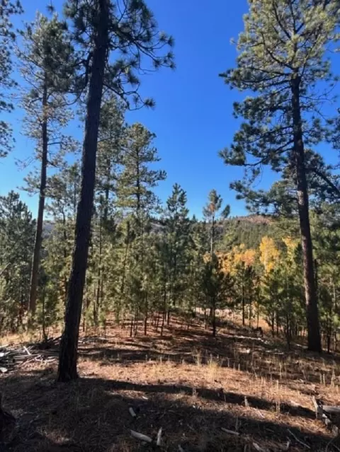 lot16 Dynasty Rd, Lead, SD 57754 photo 15