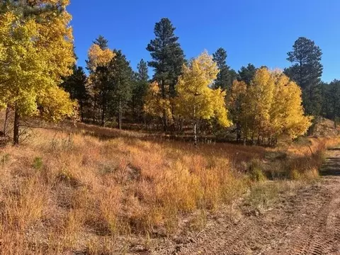 lot16 Dynasty Rd, Lead, SD 57754 photo 17