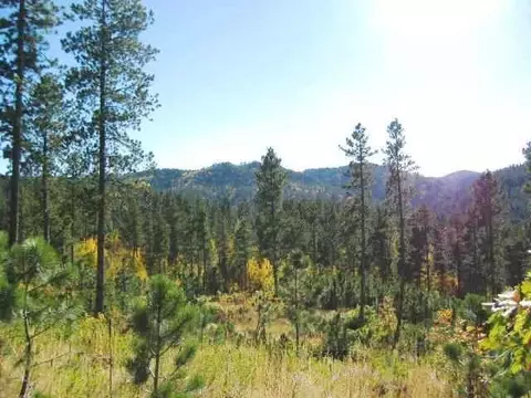 lot16 Dynasty Rd, Lead, SD 57754 photo 3