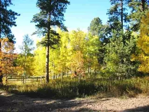 lot16 Dynasty Rd, Lead, SD 57754 photo 9