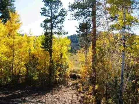 lot16 Dynasty Rd, Lead, SD 57754 photo 5