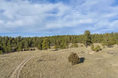 tbd S Park Dr, Custer, SD 57730 photo 8