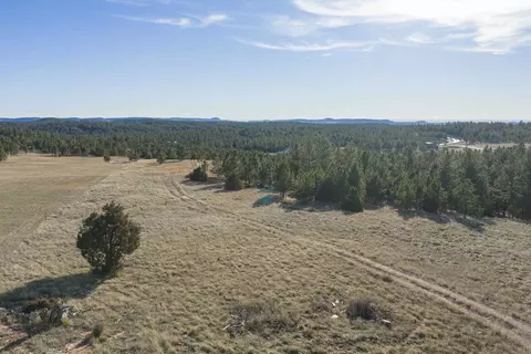 tbd S Park Dr, Custer, SD 57730 photo 9