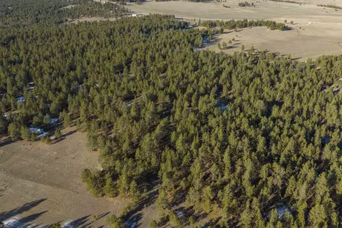 tbd S Park Dr, Custer, SD 57730 photo 17