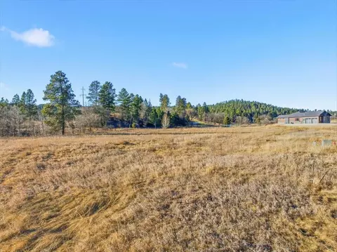 tbd Wildberger Rd, Sturgis, SD 57785 photo 6