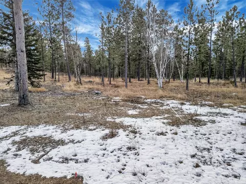 tbd Lofty Pines Ct, Lead, SD 57754
