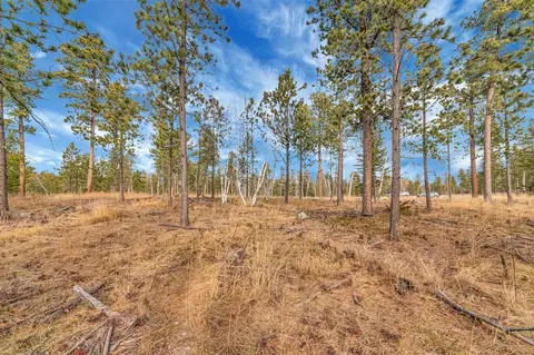 tbd Lofty Pines Ct, Lead, SD 57754 photo 5