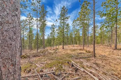 tbd Lofty Pines Ct, Lead, SD 57754 photo 6