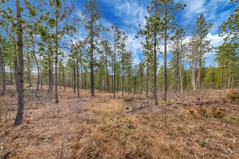 tbd Lofty Pines Ct, Lead, SD 57754 photo 2